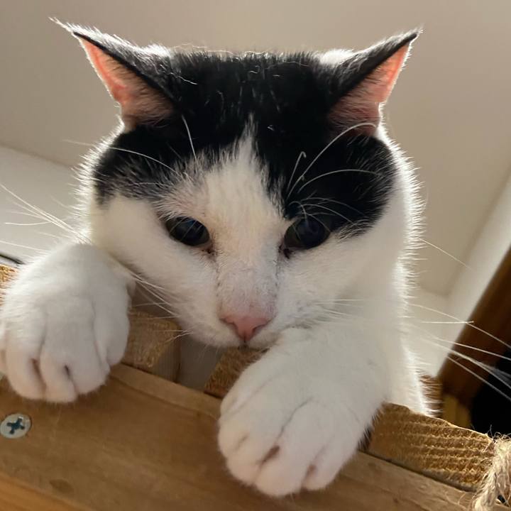 Cbd5a987 73d8 45a6 baed fe7fec40bbb1 1591098209280