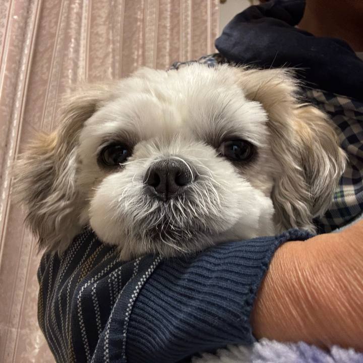 Cbd63a25 d2b5 4d27 ac3b f3f83118d575 1762985152577