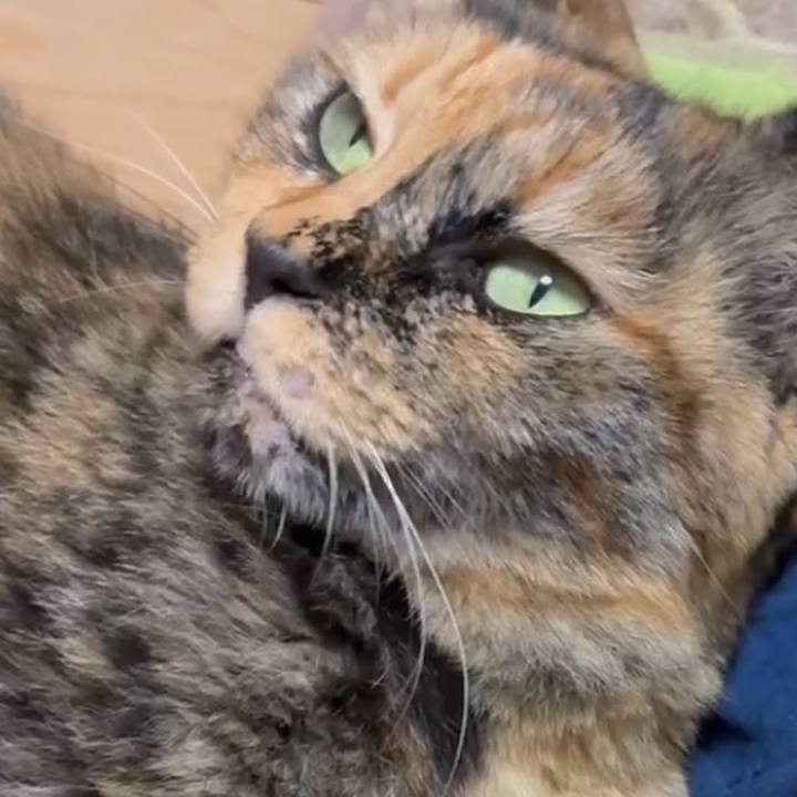 Cbd6660d 3d39 4ba9 a691 bded00979e85 1752054074147