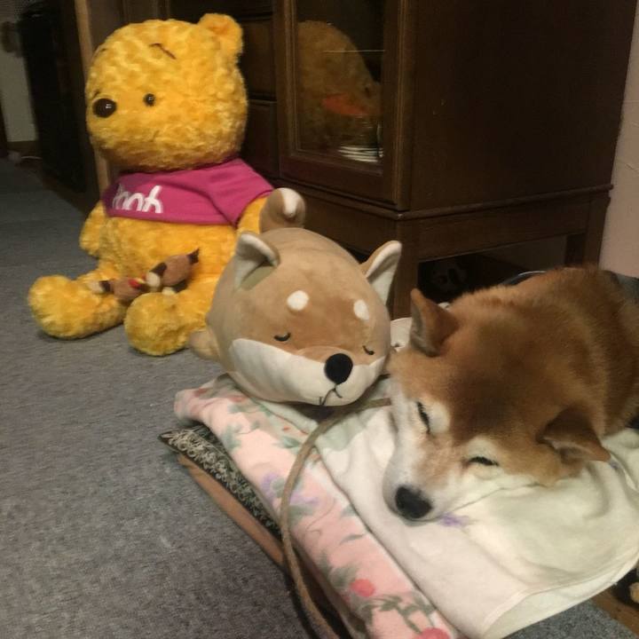 Cbd68f68 9954 4c57 bef3 35fb211e0f2d 1512560207395