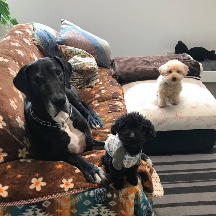 Cbd69902 6353 45e9 be9d b81563c2c946 1521642866248