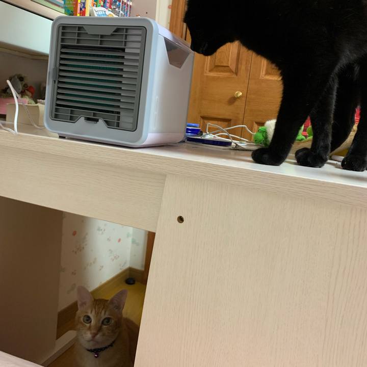 Cbd6c57c 1c0c 4672 81ac 8c175a73d3e1 1591267037447