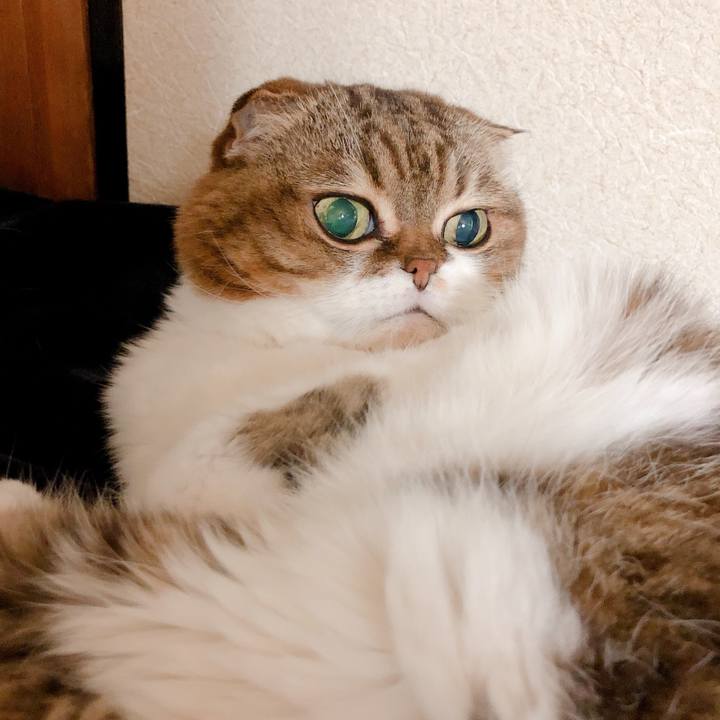 Cbd6e9ff e682 4289 bacc 7548c17939d8 1573105887901