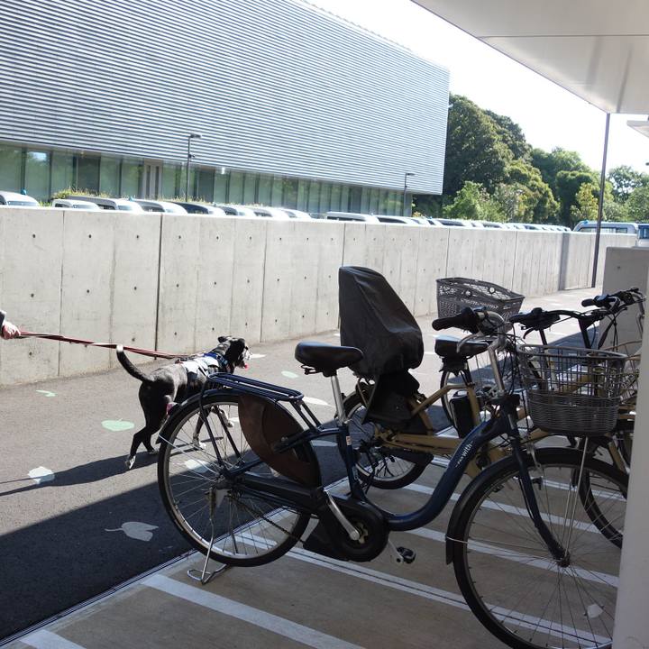 Cbd72763 e34f 49a2 b521 ed44cf3b77a2 1745972780289