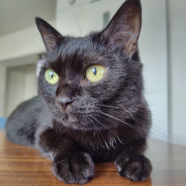 Cbd729f0 e5c0 4ca1 b9ba 26da73e35f27 1720823560892