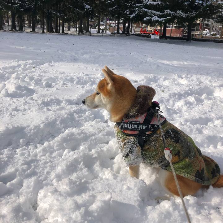 Cbd73f61 e047 45ee b8b7 a653560265fc 1573961788755