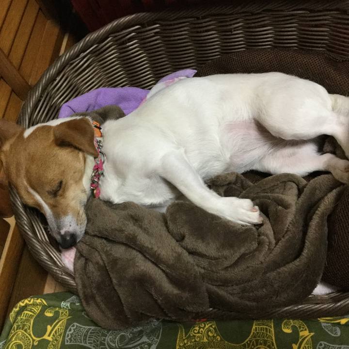 Cbd7571d 2ef1 450b bc91 b7b6e172e017 1524310580751