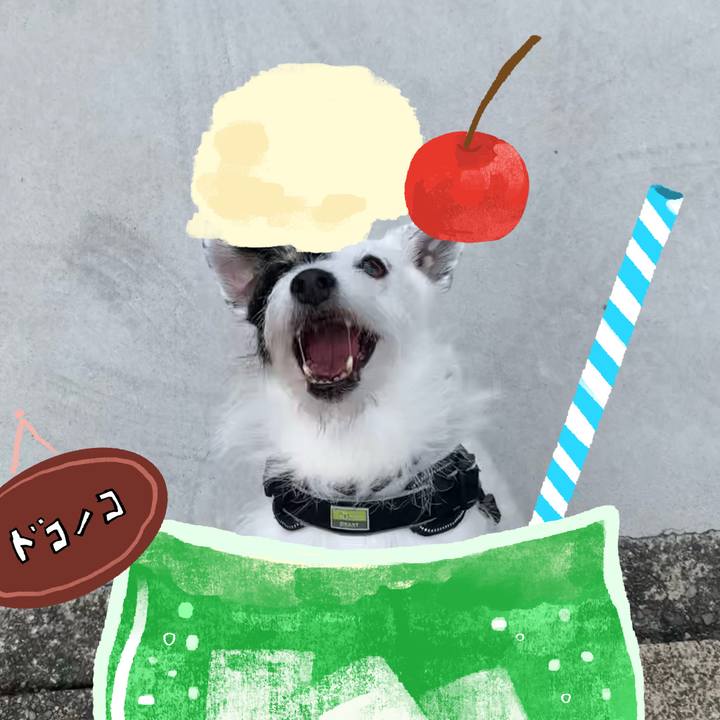 Cbd7c585 05a5 47eb a28a 604df7c7944d 1755063524158