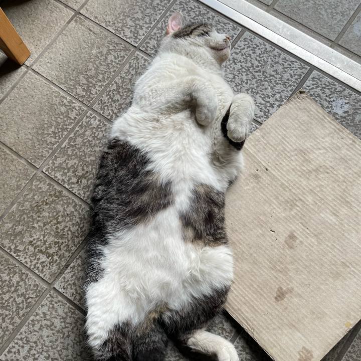 Cbd8258e 28d5 49b7 b310 e87fa4ae5e87 1651057343814