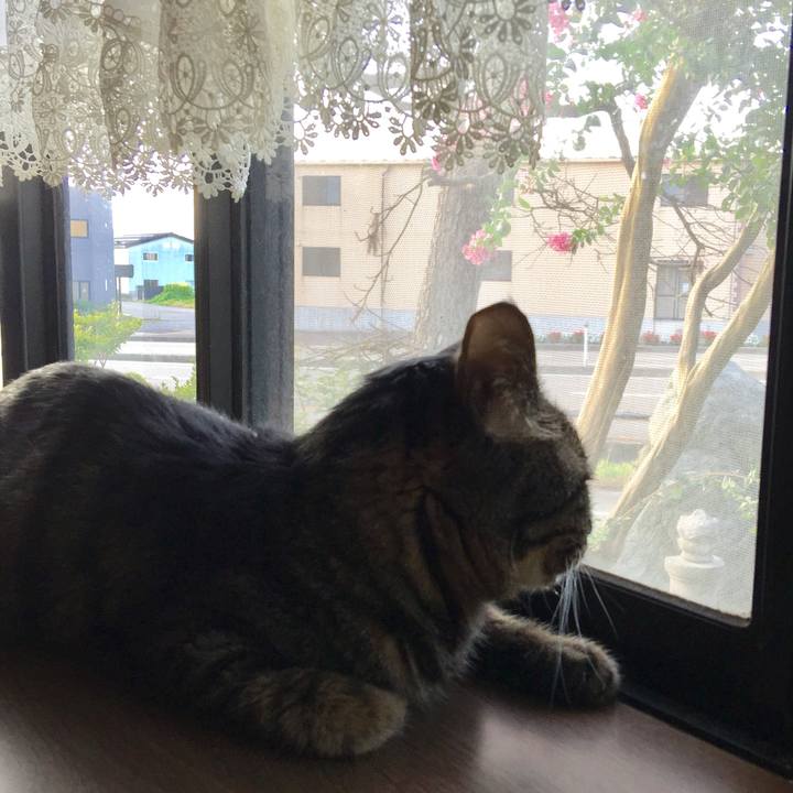 Cbd82d63 1438 4133 bc4b 90e24575a070 1564312436302