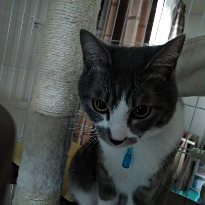 Cbd82e7a c011 42ba 9b8f 22c9e5768990 1586736917096