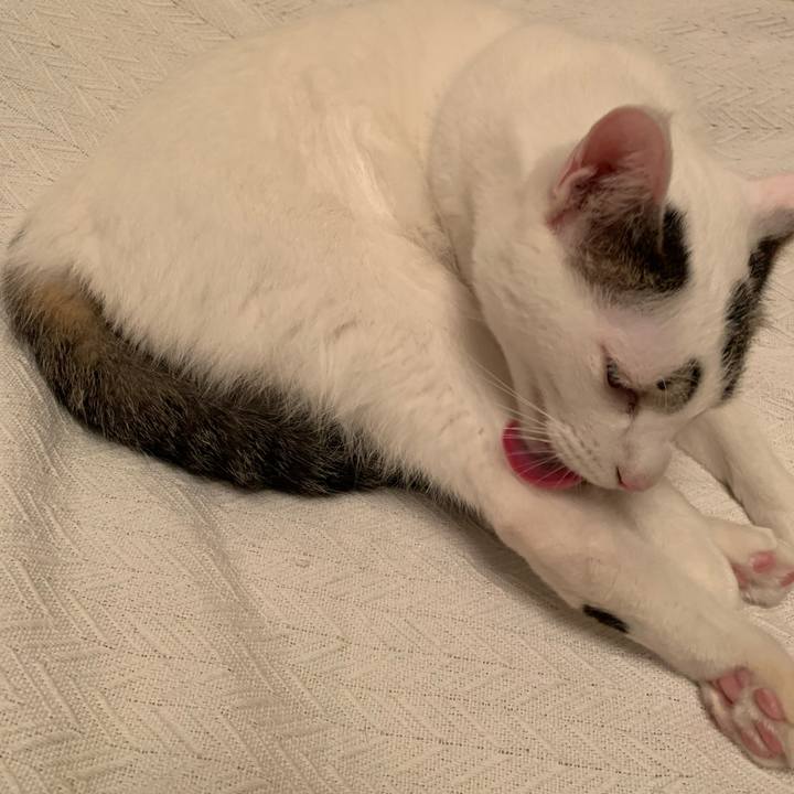 Cbd87fb2 ba0f 4030 a4f4 8523fb64a3fb 1620000934550