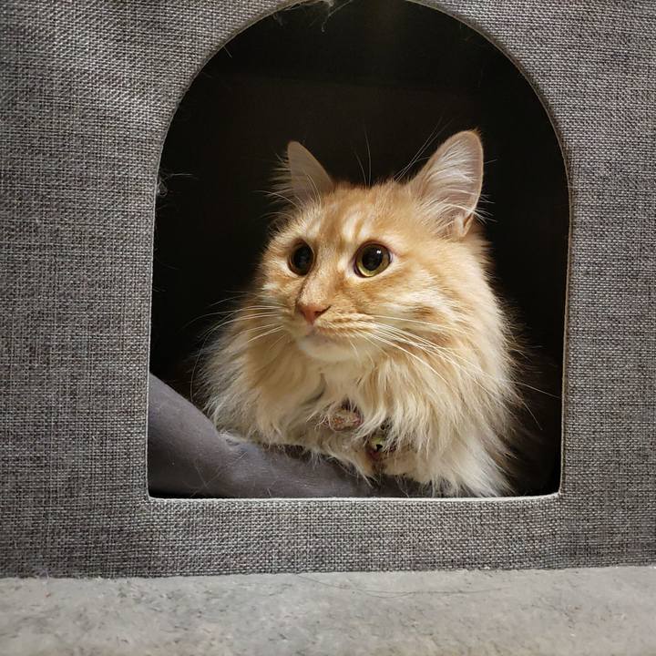 Cbd89249 7107 41f5 977a 2feeef5f0c40 1676988921053