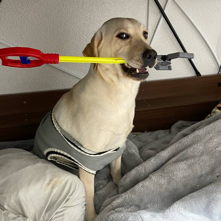 Cbd89d0c eefb 4d19 9a5a 6b96f1d714b5 1641946068018