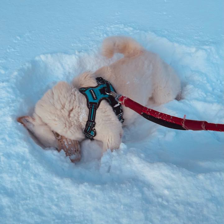 Cbd8a2d9 b6ae 415b 9c7e 9a8cf63d9421 1734733036978