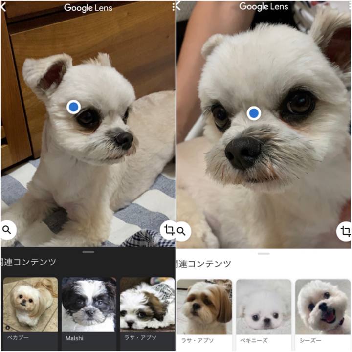 Cbd8b4f3 eea7 4cc9 b9e7 0c538cbdd194 1592824240028