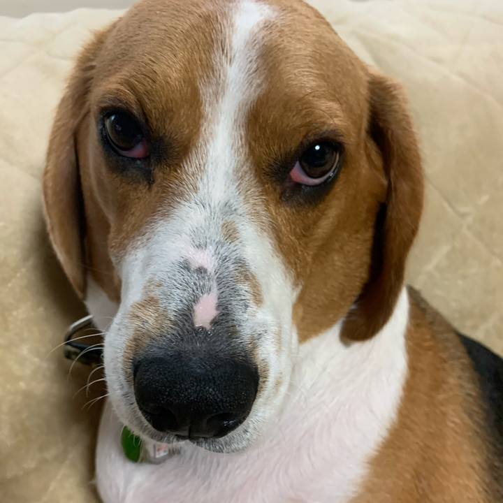 Cbd8c4a2 849c 4cac a9af 3db4c35b9b12 1584153529072