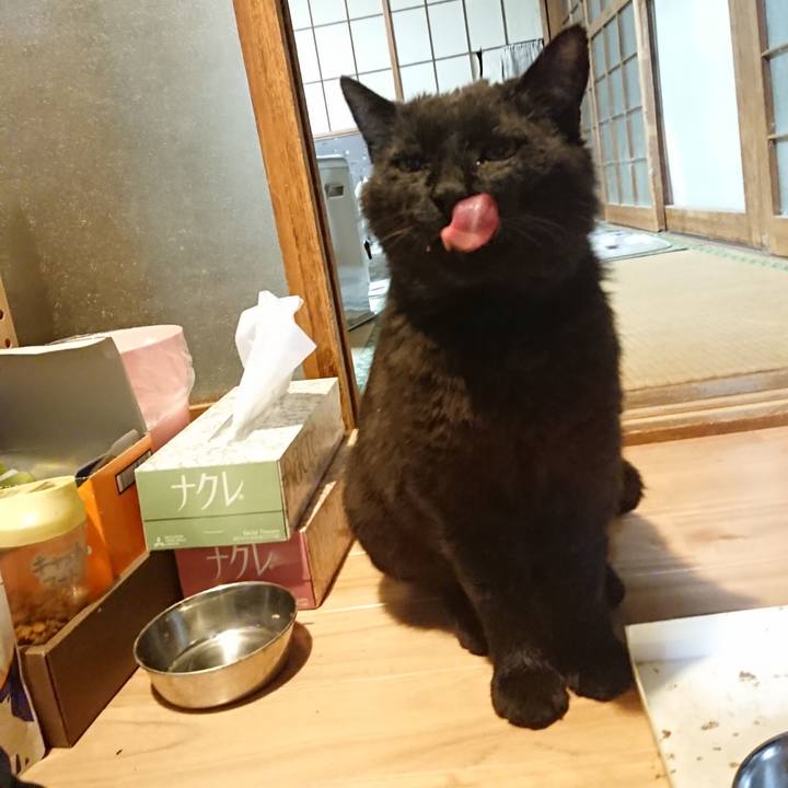 Cbd8c892 4f2a 47fc 8aed 43f55acd251f 1622028175676