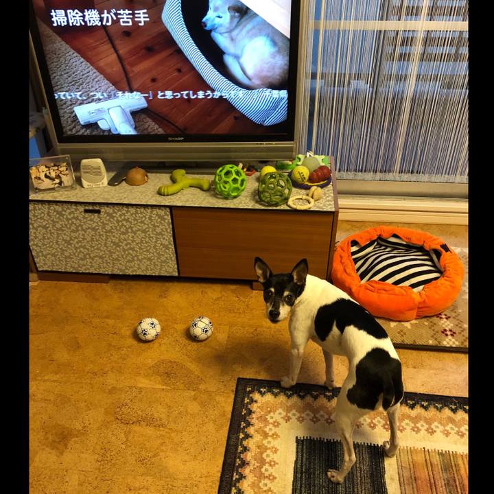 Cbd8d276 0b38 4af5 8004 92fdf9713618 1547159513338