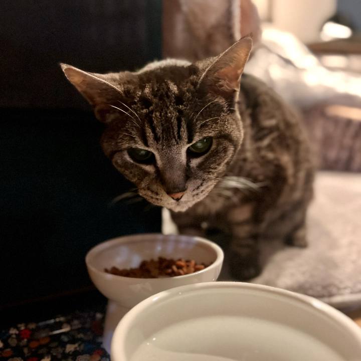 Cbd8ed3f 6f12 4d47 ba12 1cf8107c41dd 1762608679734