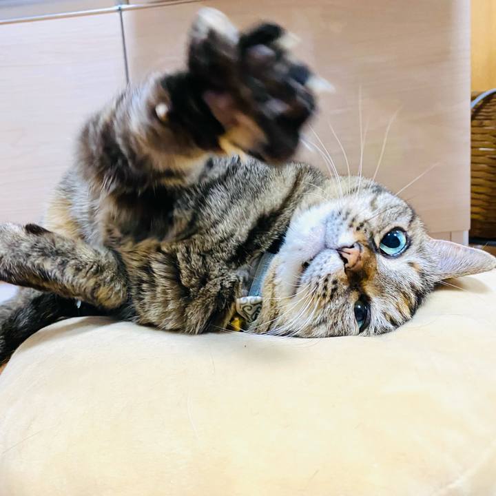 Cbd925bc d98e 4053 a830 dd36a8735b21 1709737090705