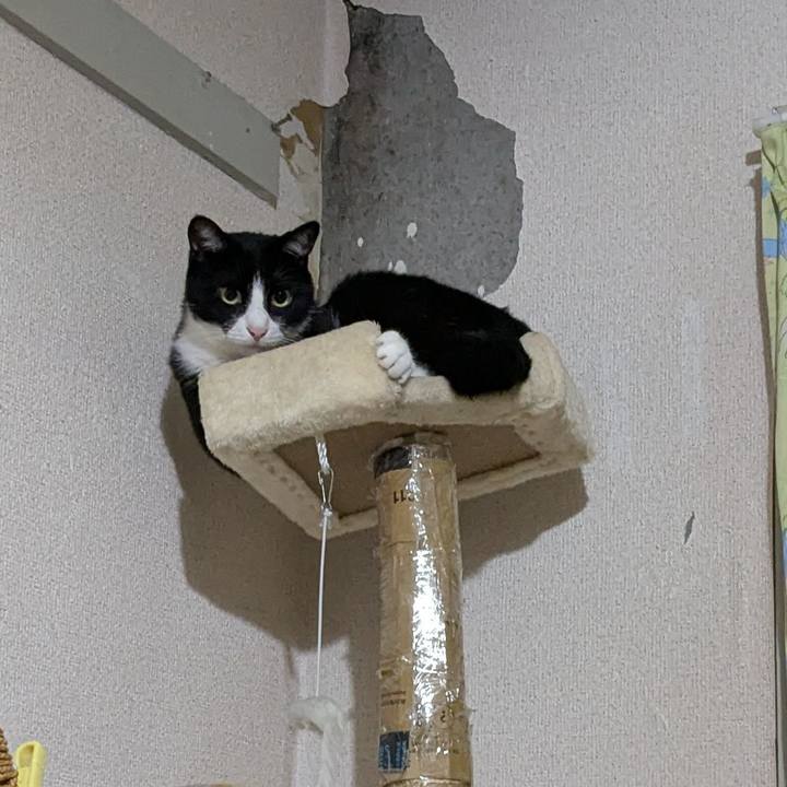 Cbd933d1 4e44 41e6 a17b d320d52f43cb 1757861455572