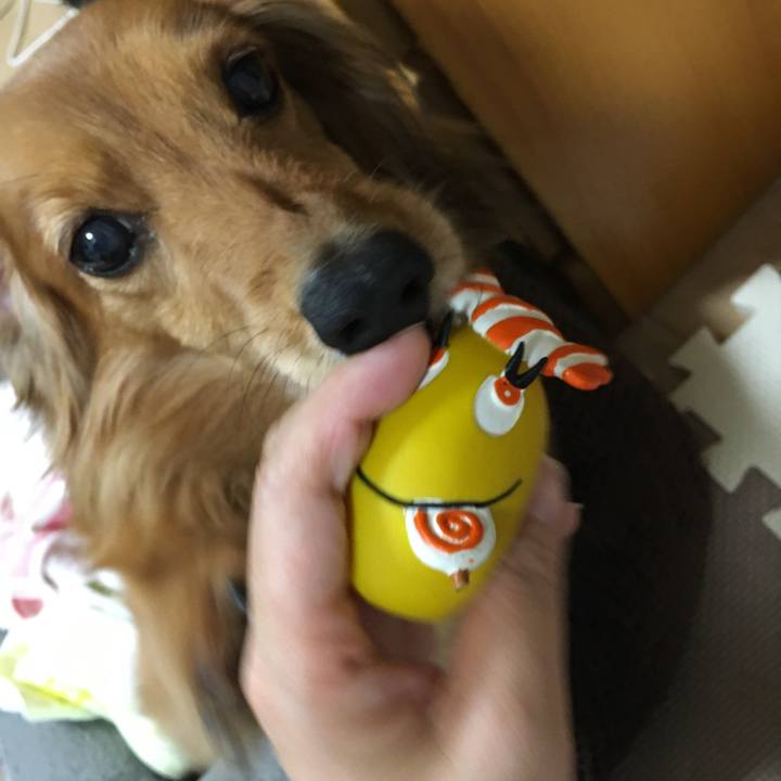 Cbd9537f a22c 4246 bf57 c75b9ba4151e 1524916235032