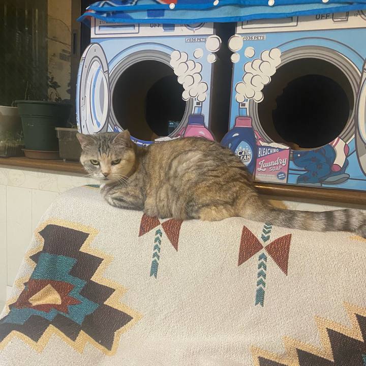 Cbd96473 f339 4662 b4e4 9278f497c874 1747776515368