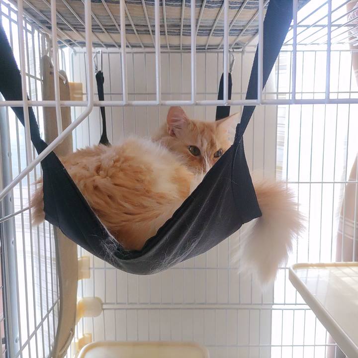 Cbd97923 ada6 49ff b33c ed3b34b71973 1723088649303