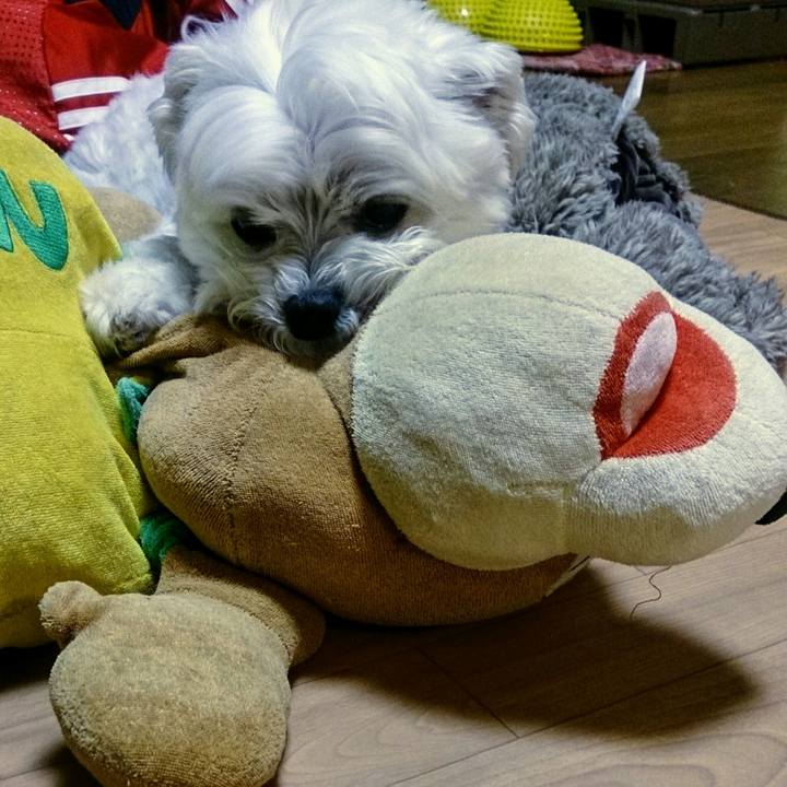 Cbd99b55 a1c5 44f5 9e29 d8700ddd5c07 1524136993717