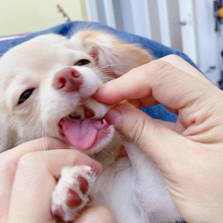 Cbd9f126 4d34 4a47 8adc cd1fe933e0ec 1754480911770