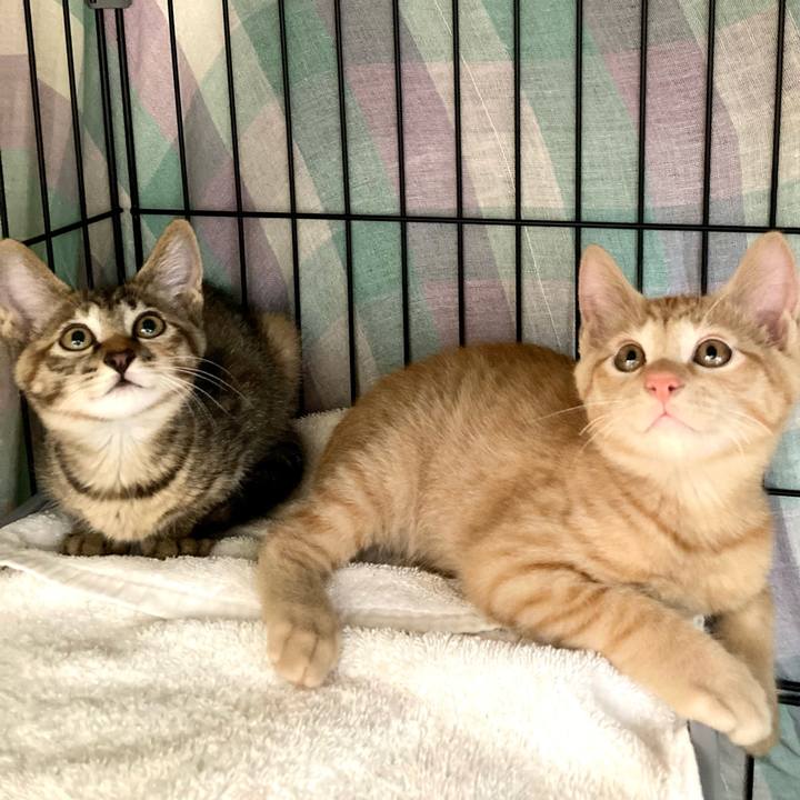 Cbda1479 c58b 4c94 b265 27643e5ee470 1631353730509