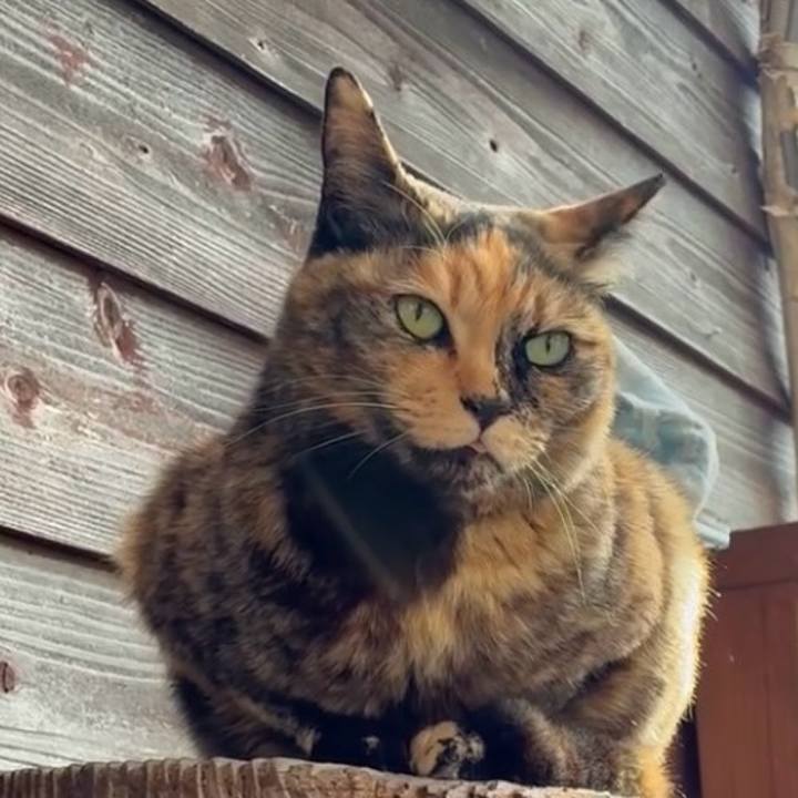 Cbda457a 2f34 45be b5f5 12f8a6518816 1772893093152