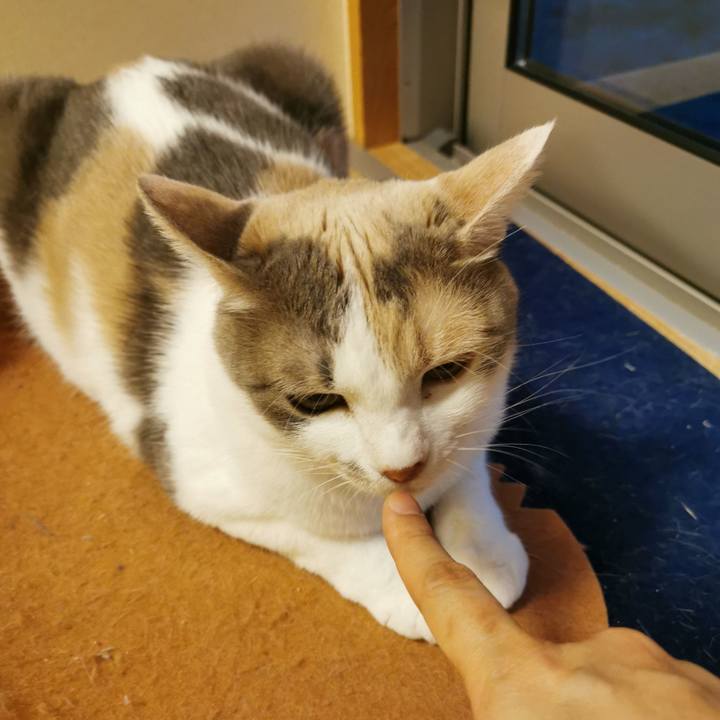 Cbda5494 2613 4131 9029 619ff4c49f2d 1622693529908