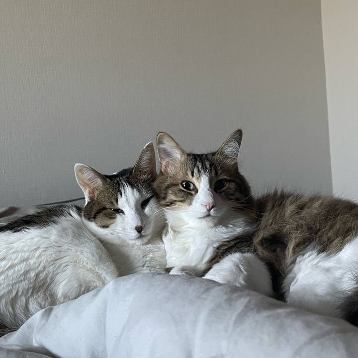 Cbda7050 b36c 4d34 8734 95dca227533f 1768871159974