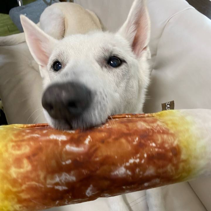 Cbda8b7e 6cb0 4081 9018 fca6324fe9e6 1614231019893