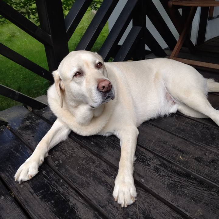 Cbda9fe4 ff89 4ab8 a347 9e36a0a4104a 1689060933166