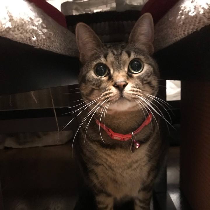 Cbdaa46a 8a41 464d b1d1 4e9961460109 1546013293960