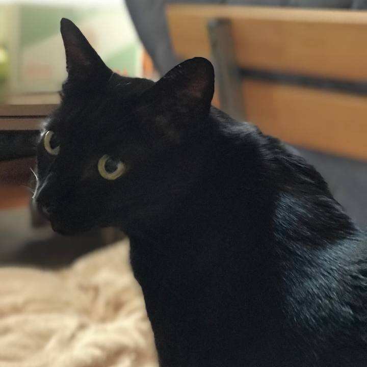 Cbdaa68b e663 4fdb b2d8 1e83d25e6d13 1532562475855