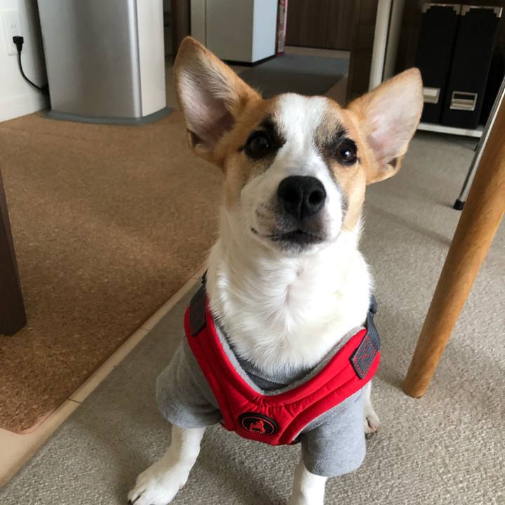 Cbdad7bd c0c4 42ce 9db0 a4ad2237db56 1555512511207