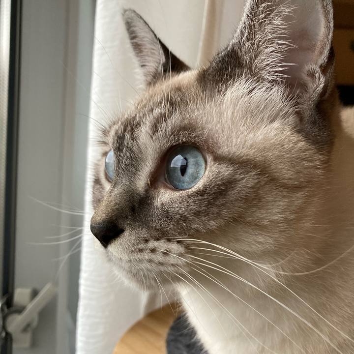 Cbdb05b7 ebb3 4f0a 87be a98b4261dc75 1699743480503