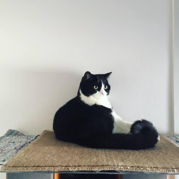 Cbdb22d7 5661 44b1 8299 90ae40a6e892 1549757046059