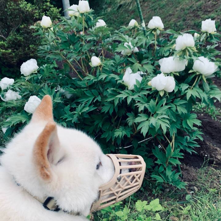 Cbdb4853 4feb 4bbe 93a0 d4685dc8d172 1622763077030