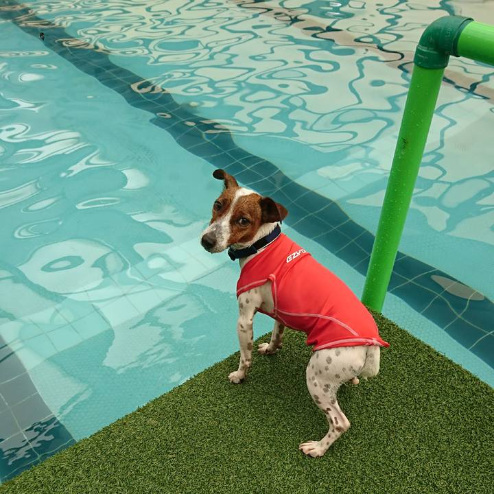 Cbdb912e 883f 46ee b660 b8ebea10f2b1 1604818610359