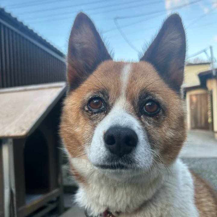 Cbdba12d fd9b 4c81 b359 865f952efdd0 1762817090569