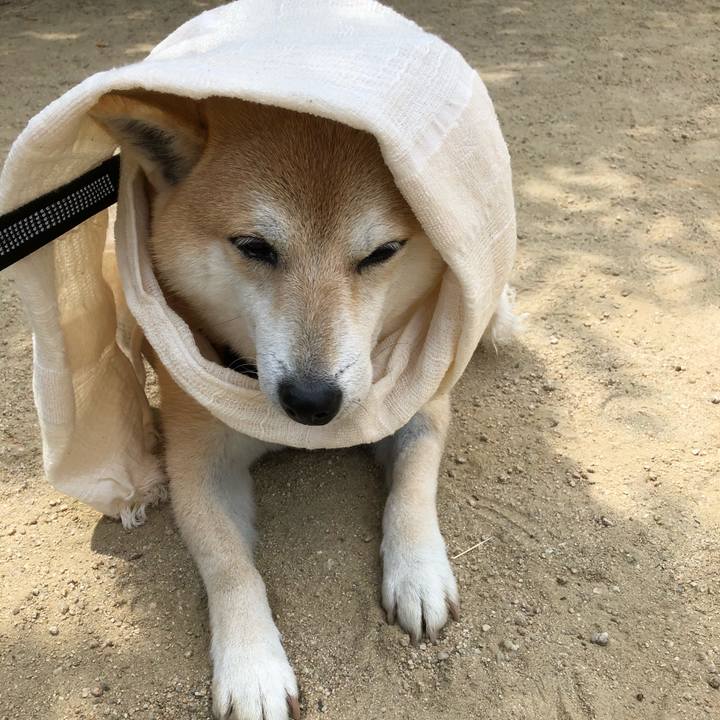 Cbdbbe46 4ba9 4c9e 80ac d85de2db2422 1558074614123