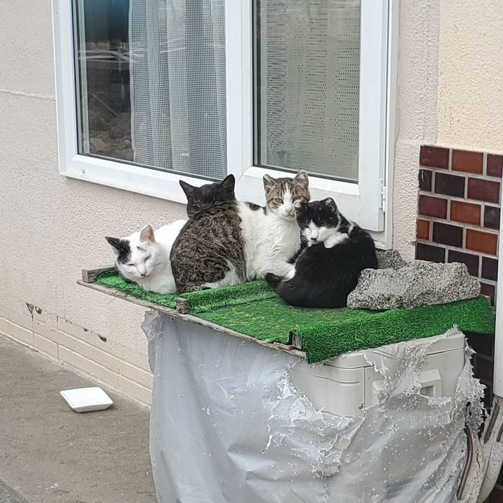 Cbdc04c6 aae8 4aee a7a2 c39805ae15c8 1713854522133