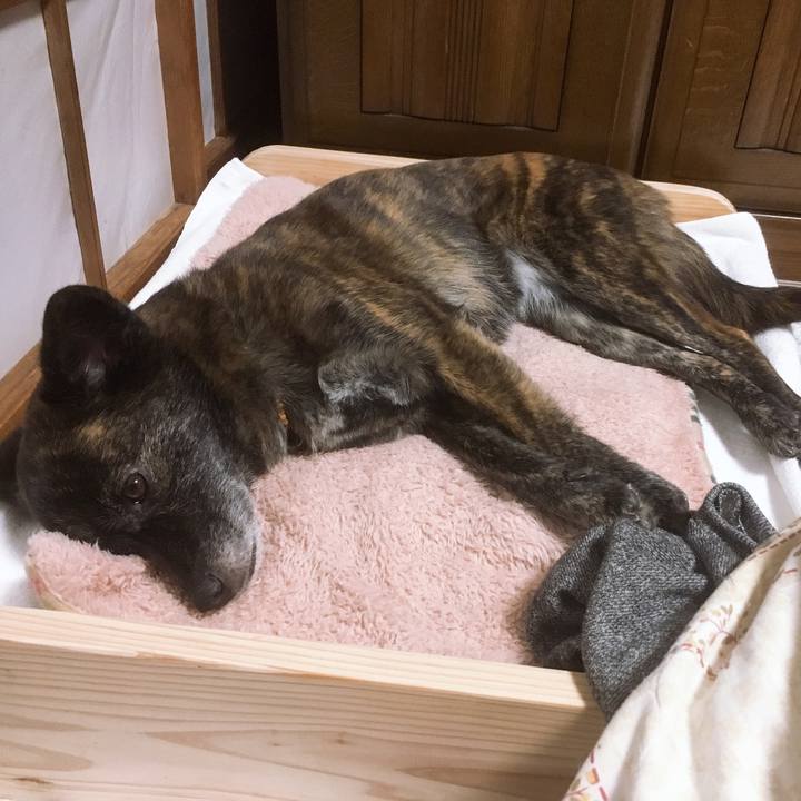 Cbdc088e 5ed0 4b6e 93bf 56b756713cd0 1549120530553