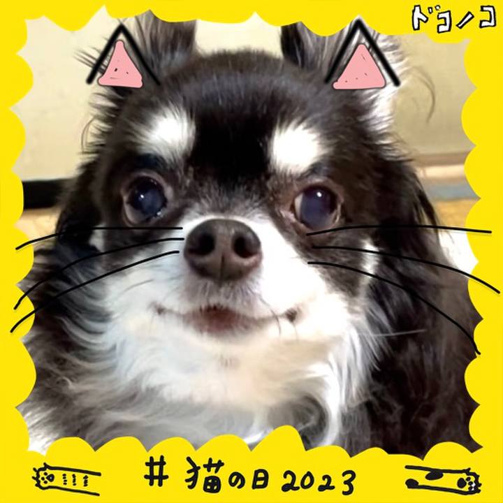 Cbdc1a08 5f07 4962 b2ea 4dc062117e43 1677032159925