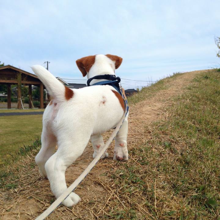 Cbdc20f5 fe0b 4b49 9336 c4e2bc9ad7af 1768431590066